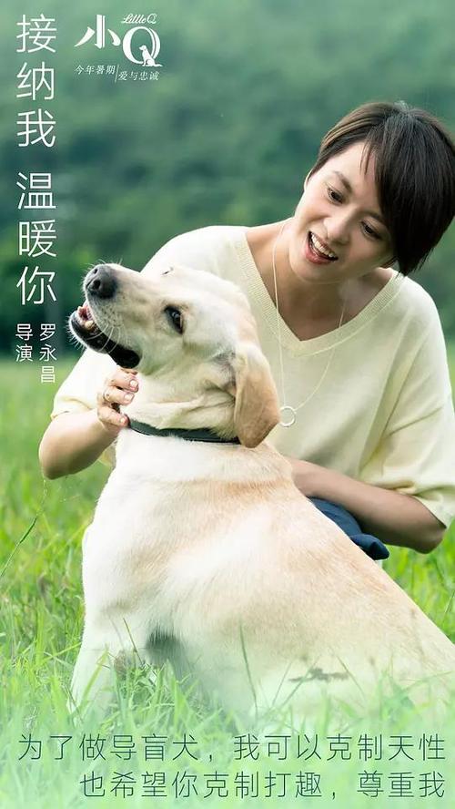 哪里可以制作圣母颂大学成绩单